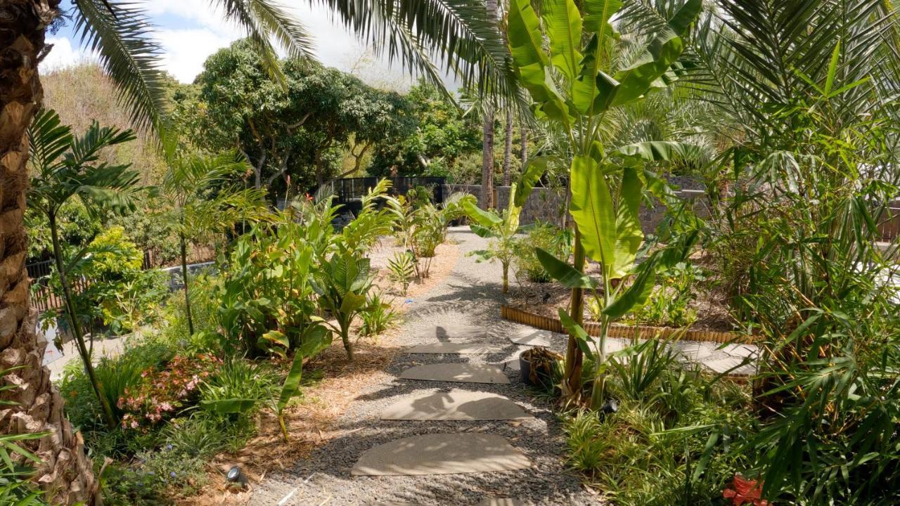 סן-לואי O Ruisseau Lodges - Lodge Dattier מראה חיצוני תמונה