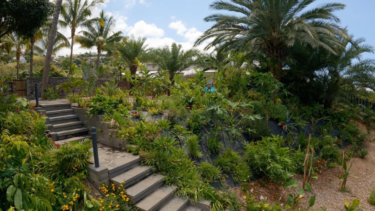 סן-לואי O Ruisseau Lodges - Lodge Dattier מראה חיצוני תמונה