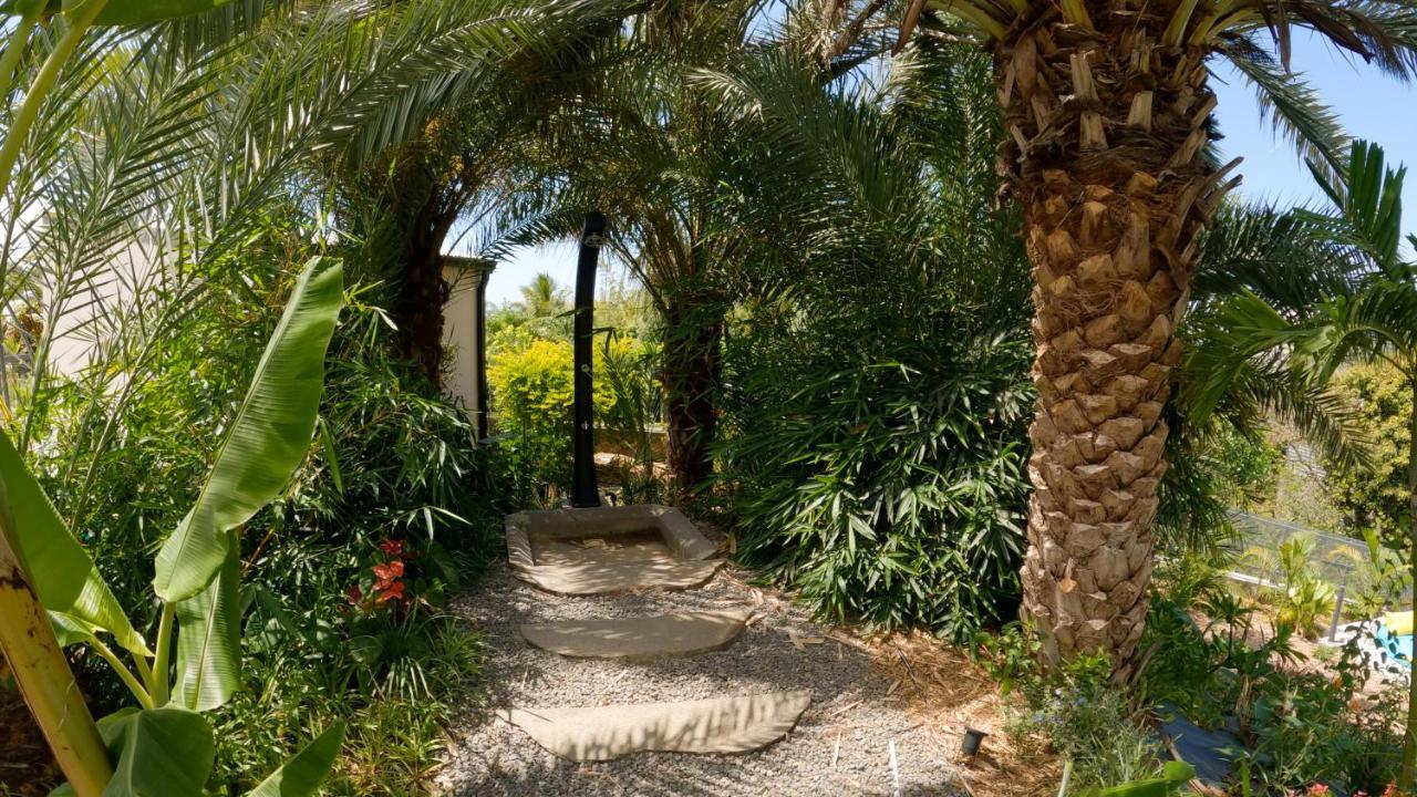 סן-לואי O Ruisseau Lodges - Lodge Dattier מראה חיצוני תמונה